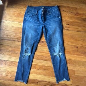Hudson Jeans Blue Skinny Distressed Denim